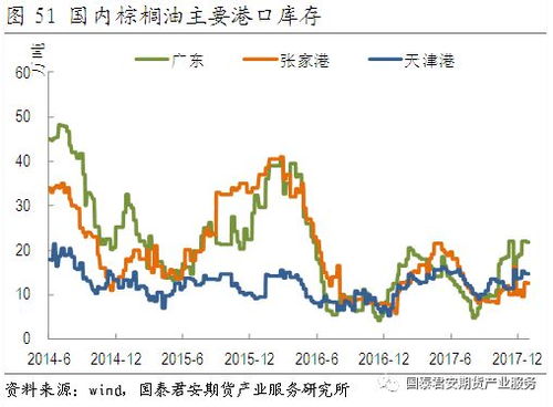  小叶榕价格，市场行情、影响因素及购买建议--第1张