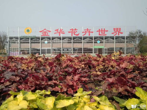  中国花草树木交易网，连接全球花卉市场的桥梁--第1张