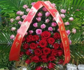  玫瑰花批发市场在哪里，玫瑰花批发市场在哪里?--第1张