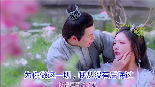  短剧痴情错付全集观看--第1张