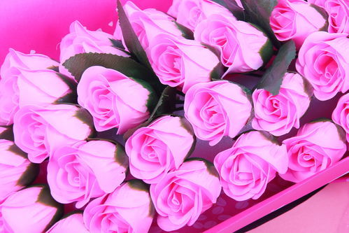  ， 33朵玫瑰花多大，33朵玫瑰花的大小因人而异，因为不同品种的玫瑰花大小不同，每朵花的大小也不同。一般来说，33朵玫瑰花的花朵直径在10-15厘米之间，具体大小取决于玫瑰花的品种和大小。--第1张