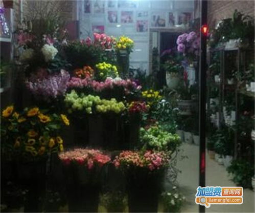  花仙女鲜花店加盟，花仙女鲜花店加盟，实现创业梦想的捷径--第1张