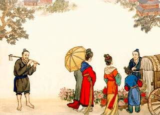  买花白居易阅读理解，买花阅读理解（白居易）--第1张