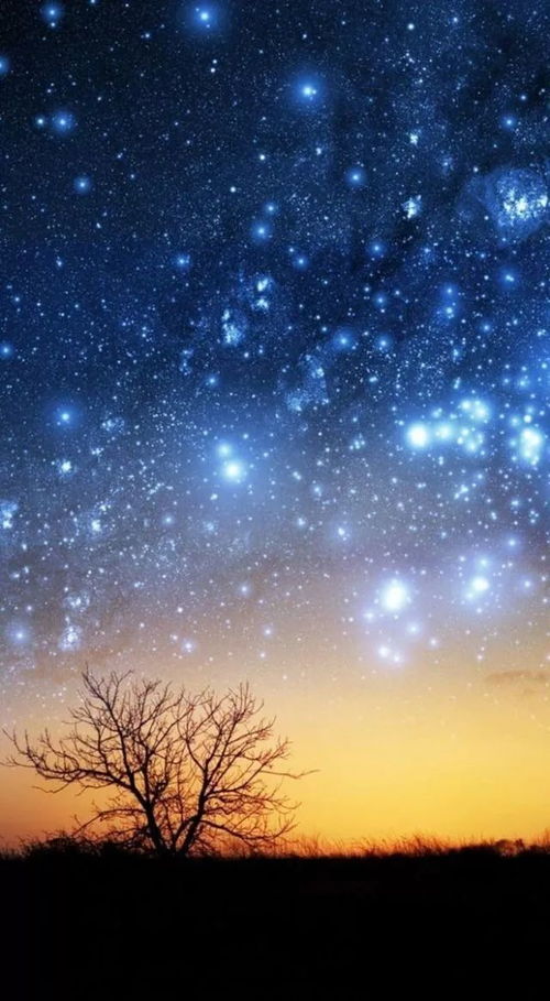  满天星图片，唯美夜空的璀璨星辰--第1张
