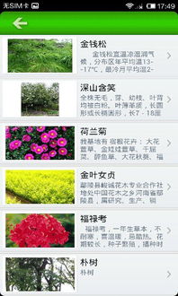  中国苗木信息网价格查询网——一站式苗木交易平台，中国苗木信息网价格查询网——一站式苗木交易平台，提供苗木价格查询及交易服务--第1张