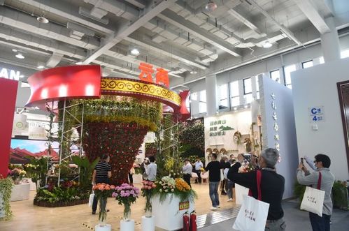  中国花卉博览会，绽放的美丽与文化，中国花卉博览会，绽放的美丽与文化盛宴--第1张