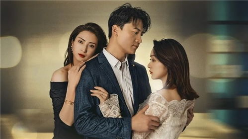  短剧妻子的绝地反攻全集观看，妻子绝地反攻，逆转婚姻全集观看--第1张