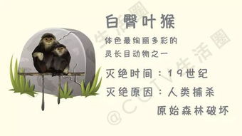  短剧最强打工人之物价贬值全集观看--第1张