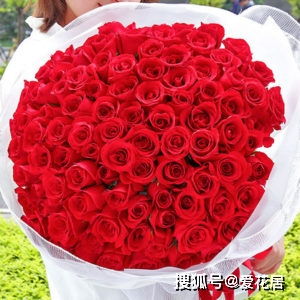  三八妇女节适合送什么花，三八妇女节适合送的花有康乃馨、百合花、非洲菊、马蹄莲、郁金香等。--第1张