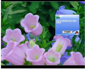  世界上十大最美的花排名，世界上十大最美的花排名包括，玫瑰、百合、郁金香、马蹄莲、牡丹、兰花、睡莲、昙花、向日葵和金鱼草。--第1张