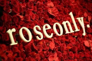  Roseonly只能买一次吗？，Roseonly一生只能买一次吗？--第1张