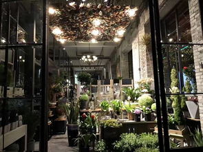  金华鲜花店哪家好一点--第1张