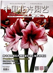  中国花卉园艺杂志社，引领花卉园艺行业的创新力量--第1张