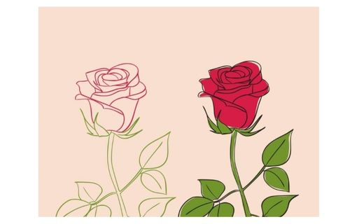  9朵玫瑰2朵百合的含义，9朵玫瑰和2朵百合的浪漫含义，， 九个愿望全部实现， 美好的愿望成真， 深深的爱意和祝福， 美好的爱情和幸福的未来--第1张