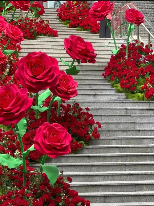  惊艳！9朵红玫瑰花束图片，浪漫至死不渝！--第1张
