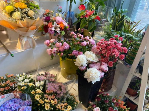  花里花店官网，打造线上花卉零售新体验，花里花店官网，打造线上花卉零售新体验--第1张