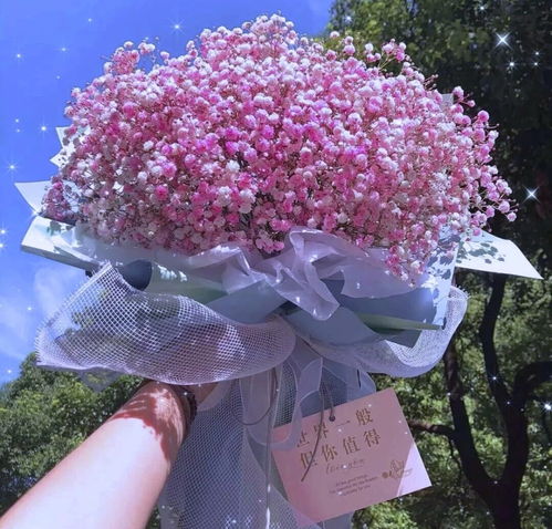  满天星小说，浪漫与现实的交织，浪漫满载，满天星小说中的现实与浪漫交织--第1张