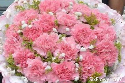  康乃馨的花语与寓意是什么，康乃馨的花语与寓意是热情、魅力、母爱、温馨、尊敬和感激。--第1张