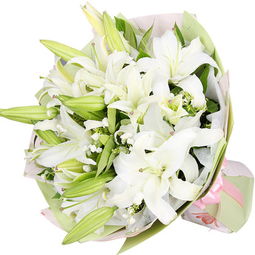  百合花的寓意及花语，百合花的百年好合寓意及花语--第1张