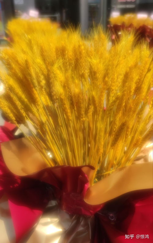  麦穗花开业花篮，传递美好，点亮新生活力--第1张