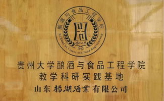  短剧天道赊命人全集，观看，揭秘命运的无常与智慧--第1张
