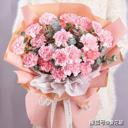  母亲节买什么花最好--第1张