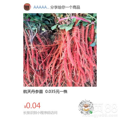  芍药之美——中药芍药图片欣赏--第1张