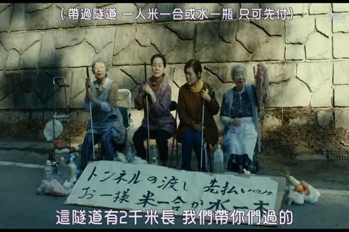  短剧全球末日我成了救世主王宇峰岳雨婷全集观看--第1张