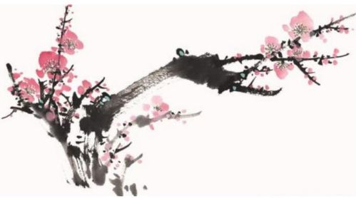  梅花的描写优美句子，梅花的美丽与坚韧，一首动人的描写优美句子--第1张