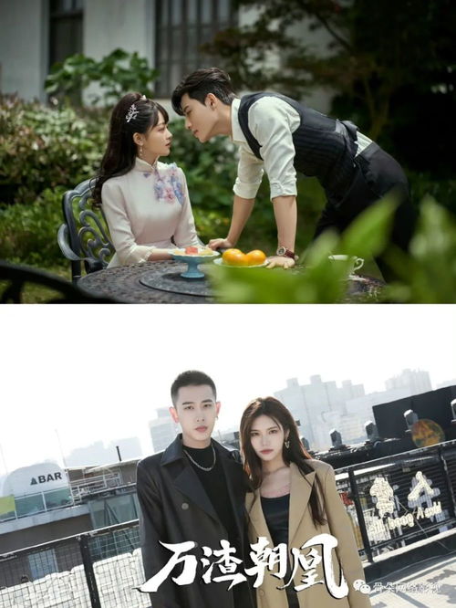  短剧退婚后我闪婚了财阀大佬全集观看--第1张