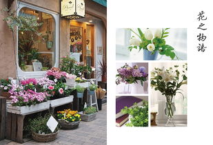  花园路附近的花店，鲜花的美丽与温馨的邂逅，花园路附近的花店，鲜花与温馨邂逅的美好之地--第1张