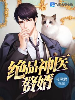神医赘婿7大结局视频在线观看_神医赘婿笔趣阁--第1张