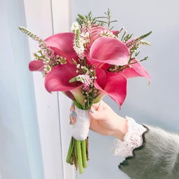  送花祝福语简短一点，温馨的送花祝福，愿你生活如花般绚烂--第1张