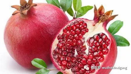  石榴是靠什么传播种子的正确答案--第1张