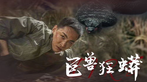  短剧李潜之潜龙出海全集，一场惊心动魄的探险之旅--第1张