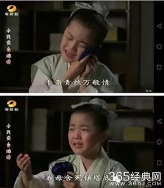  短剧吊打奇葩嫂子全集观看，奇葩嫂子闹剧短剧全集--第1张