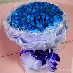  十一支蓝色妖姬的花语，蓝色妖姬的独特花语，浪漫、永恒的爱情和珍贵友谊--第1张