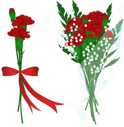  红色康乃馨鲜花图片，传递爱与温暖的象征，红色康乃馨鲜花，传递爱与温暖的象征图片展示--第1张