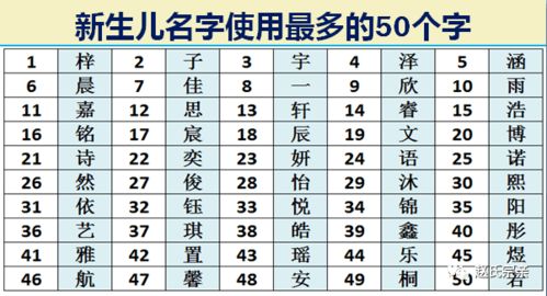  什么名字，探索未知，一个充满冒险的旅程--第1张