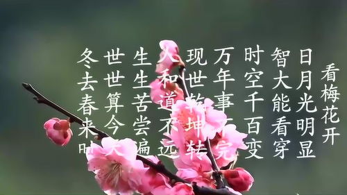  描写梅花的诗句--第1张