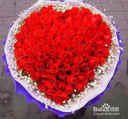  不同玫瑰数量代表什么