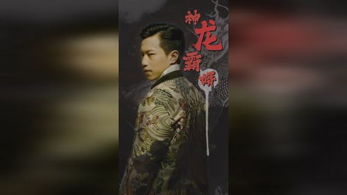  短剧风云神婿全集观看，风云神婿风云传奇全集观看--第1张