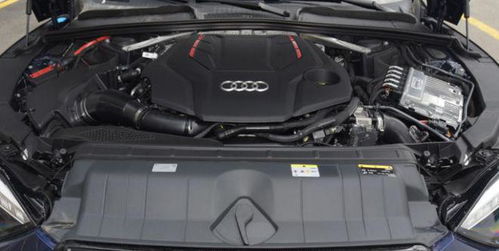 audis5_奥迪s5最新价格2023款--第1张