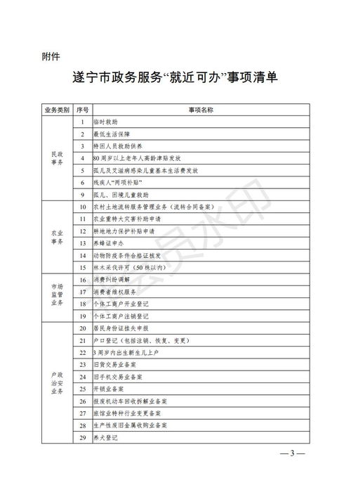   遂宁政府网，政务公开的新篇章--第1张