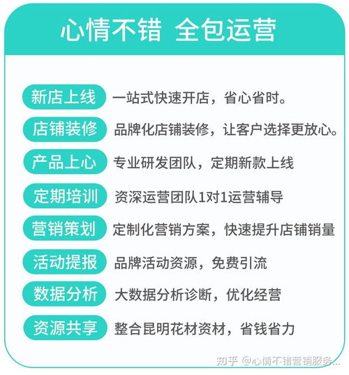  花店线上代运营，打造高效线上销售渠道，花店线上代运营解决方案，打造高效线上销售渠道--第1张