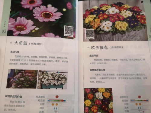  鲜花网站推荐，鲜花网站推荐，让你轻松购买高品质鲜花的网站--第1张