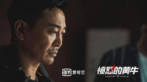  短剧血狱风暴全集观看，血狱风暴全集在线免费观看--第1张