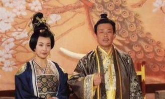  嫁给植物人王爷后她大杀四方--第1张