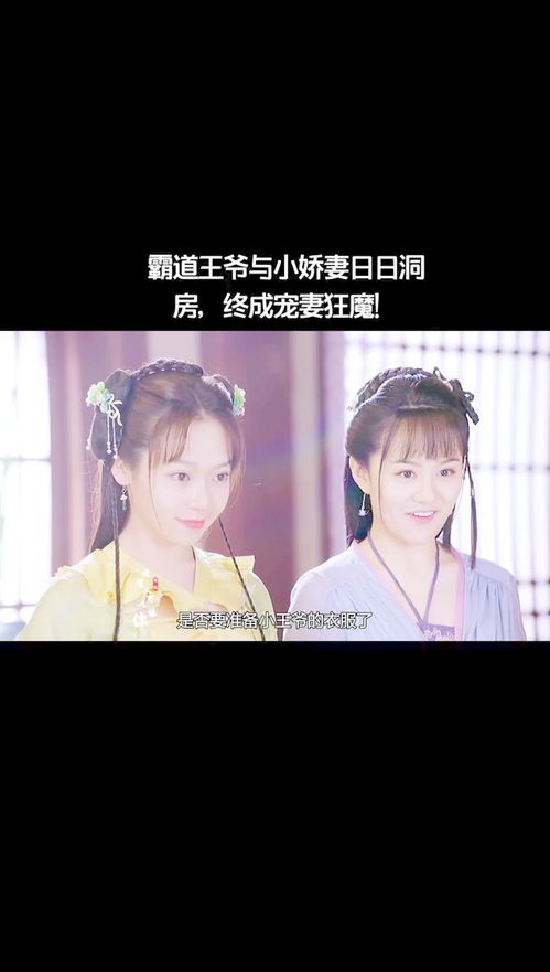  霸道王爷的丫鬟娇妻穿越剧全集观看，霸道王爷的丫鬟娇妻，穿越剧全集观看--第1张