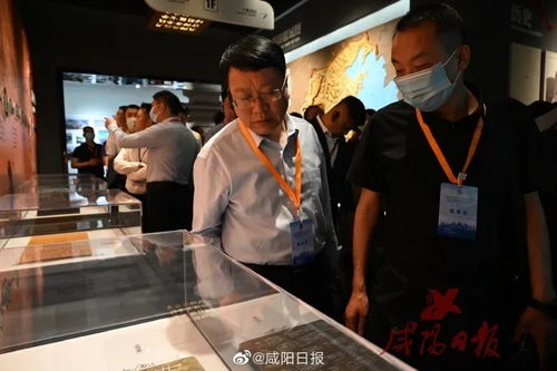  粉色，一种情感与象征的完美融合--第1张